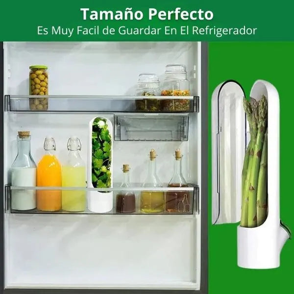 VeggieFresh® Conservador De Vegetales PROMO 🤑 X 3 Unidades