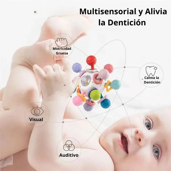 Bebé Muelitas Mágicas®  Dentición y Desarrollo Sensorial